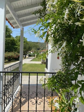 Calma Ferienhaus Skiathos-Stadt